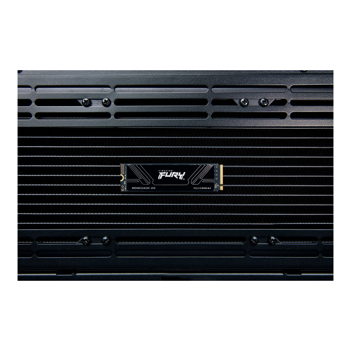 Kingston FURY Renegade G5 4 To — mise en situation 2 du SSD sur fond blanc carré — réf. SFYR2S/4T0